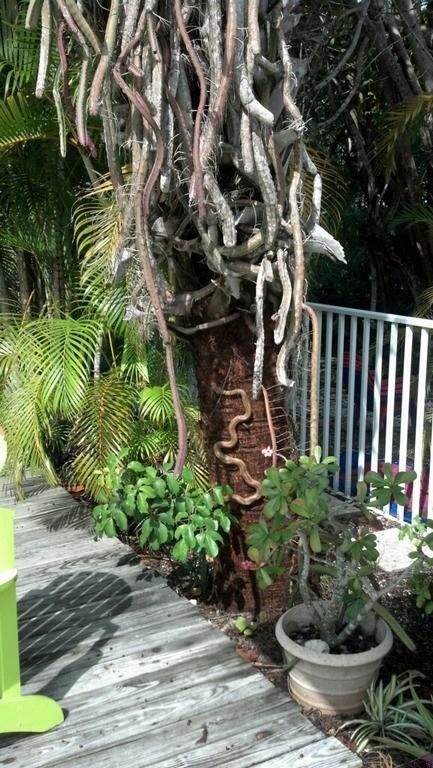 Sunshine Island Inn - Adults Only Sanibel Bagian luar foto